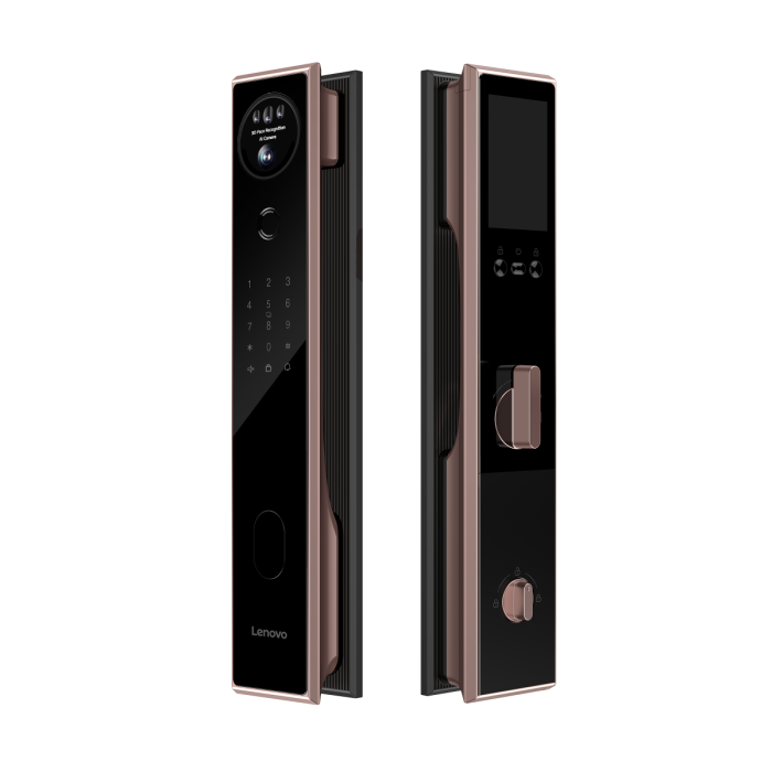 Lenovo 聯想 人臉識別指紋智能電子門鎖 (黑色/金色) A6F (已包基本安裝)