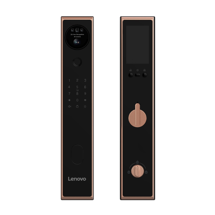 Lenovo 聯想 人臉識別指紋智能電子門鎖 (黑色/金色) A6F (已包基本安裝)